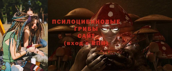 соль курить ск Осинники