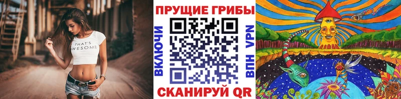 Галлюциногенные грибы Magic Shrooms  Купить закладки  Новосокольники 